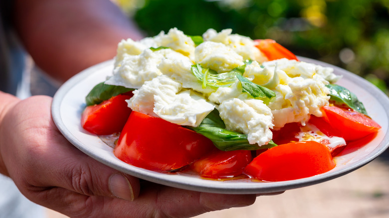 hands holding a plate of insalata Caprese with buffalo mozzarella, ripe tomato, basil and oil