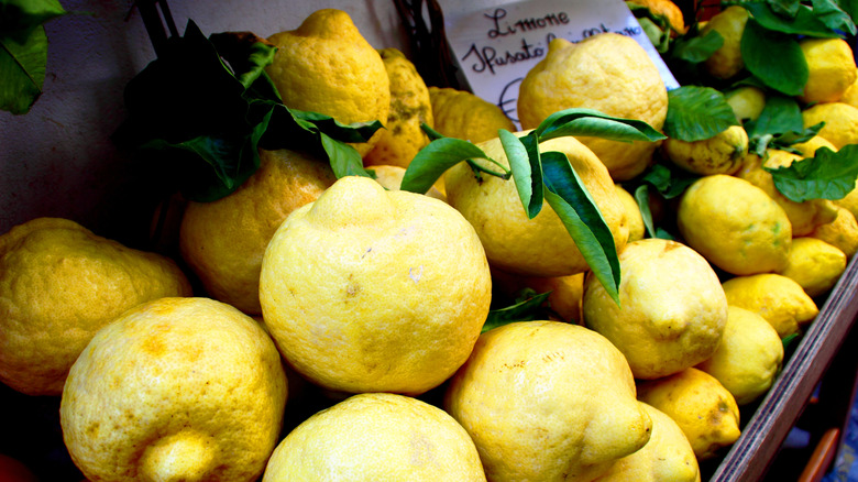 Amalfi sfusato lemons with leaves in a shop