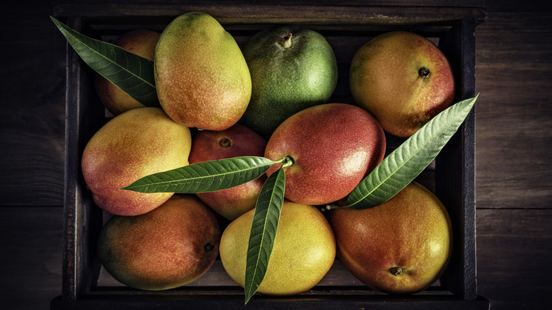 Mangoes in a bowl