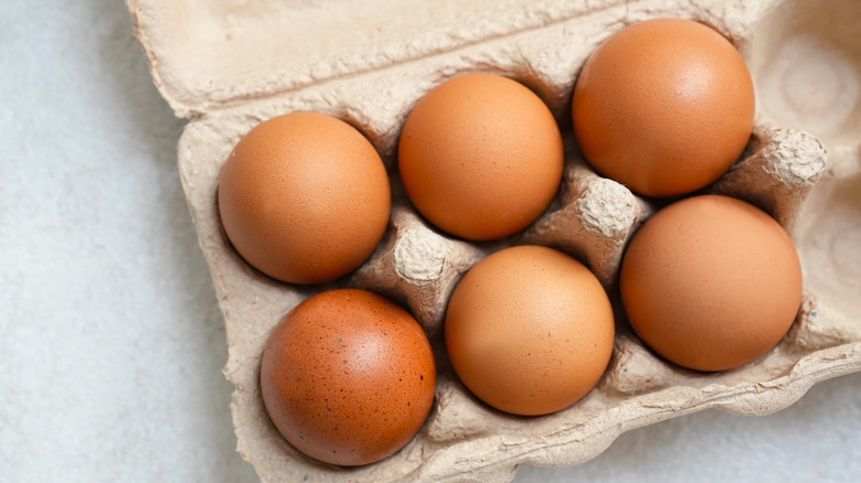 Chicken eggs in a paper carton