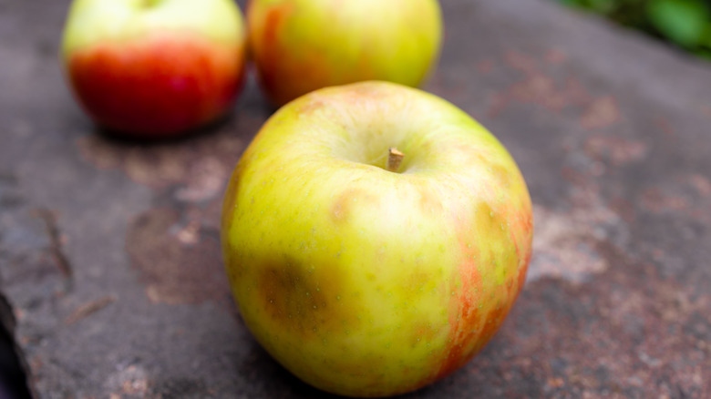 Apples with large bruises