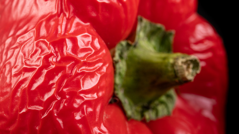 Close-up of red bell pepper with wrinkled skin