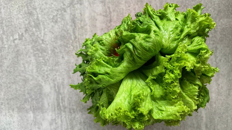 Pile of wilted lettuce leaves