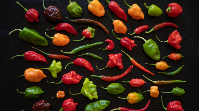 Various spicy peppers 