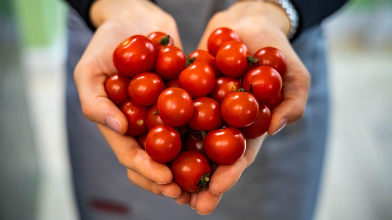 tomatoes being held in a heart shape