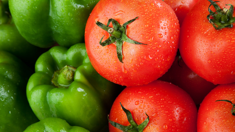 fresh tomatoes and green bell peppers