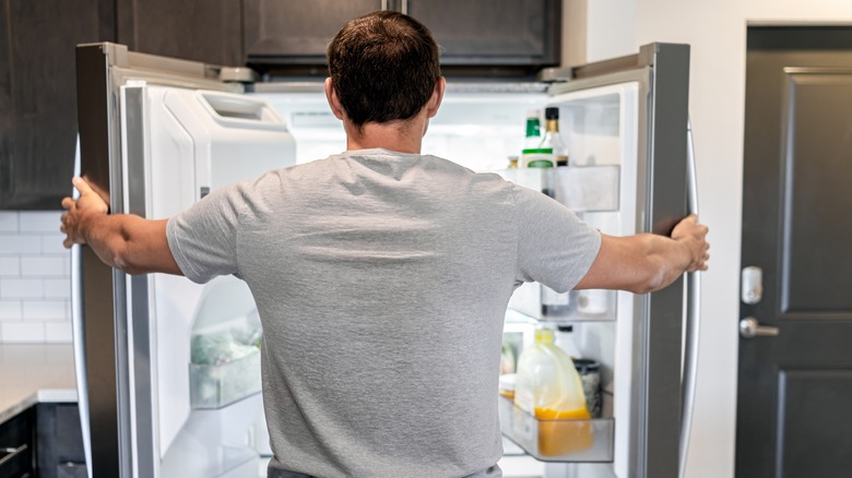 Fridge Organization Ideas - Tour Our Refrigerator! - Small Stuff Counts