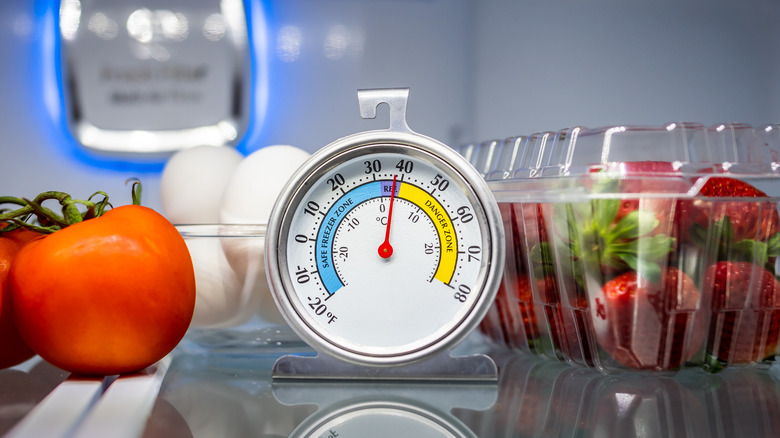 thermometer on refrigerator shelf