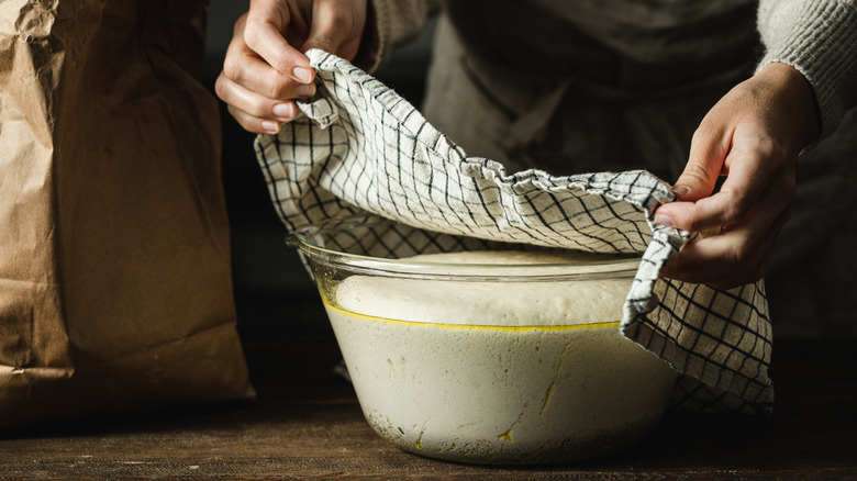 person uncovering proofed dough