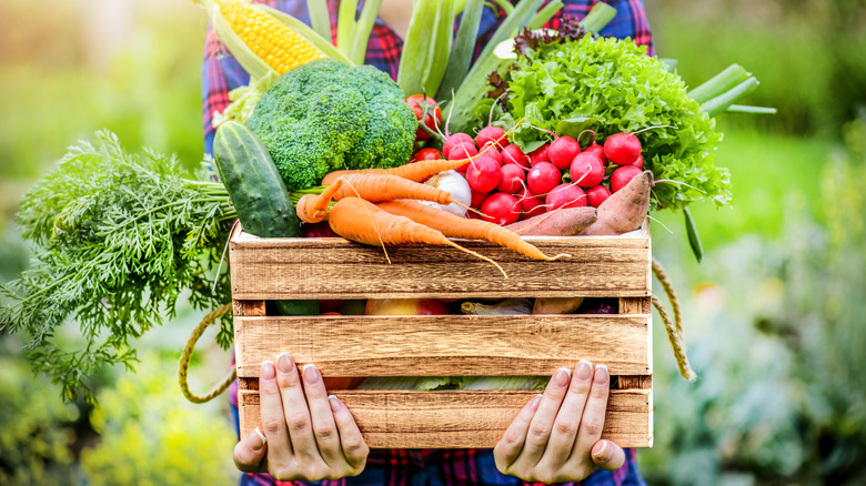 Crate of organic vegetables