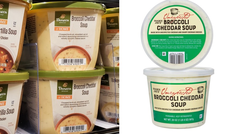 Comparing Panera Bread and Trader Joe's broccoli cheddar soup
