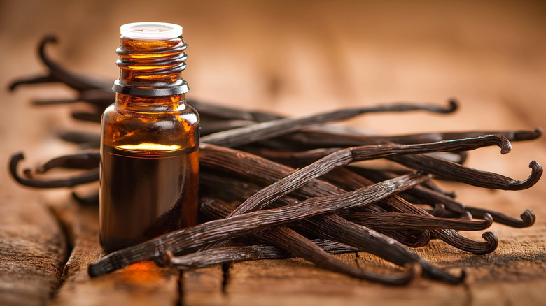 A bottle of vanilla extract with vanilla bean pods next to it
