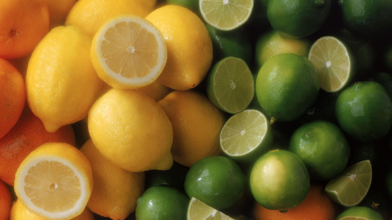 Pile of citrus fruits