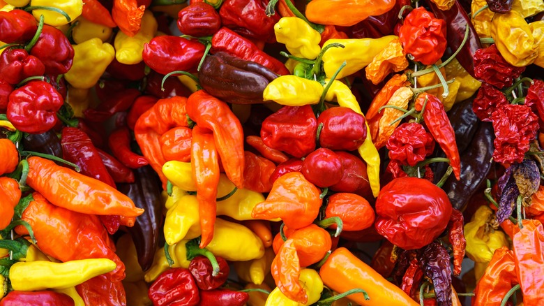 Various hot peppers