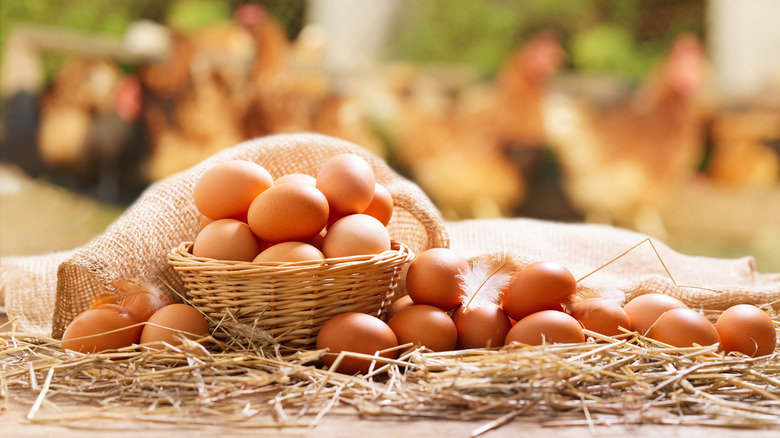 brown eggs in basket