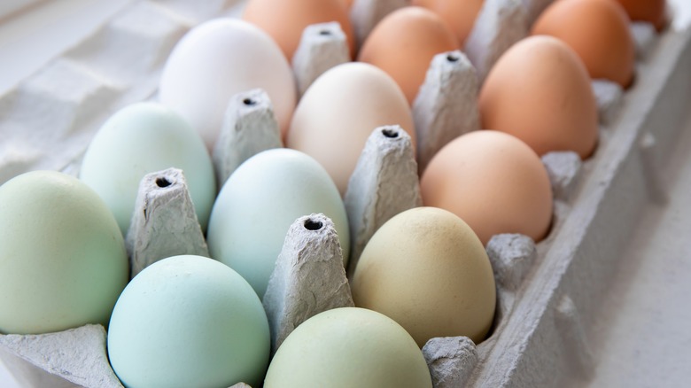 carton of mixed color eggs