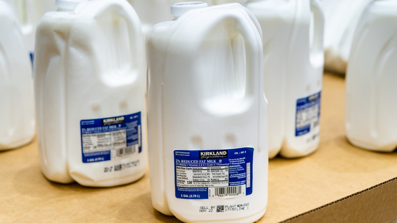 close up of kirkland signature 2% milk gallon with several other gallons in the background