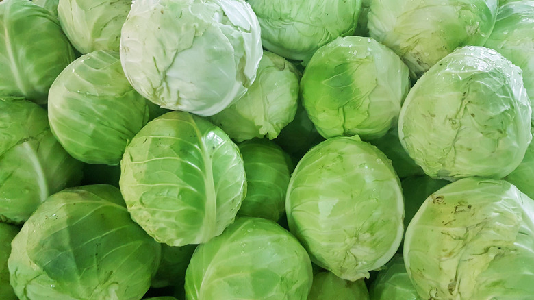 Heads of cabbage stacked together.