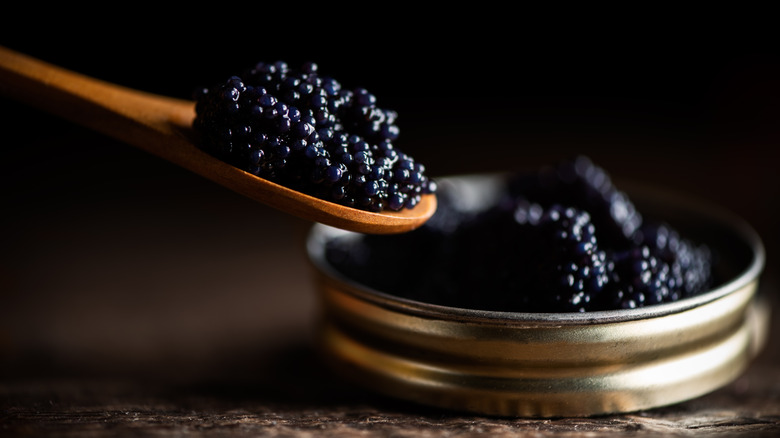 black caviar on wooden spoon