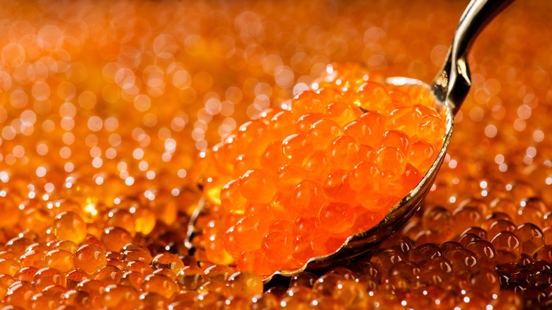spoon in orange fish roe