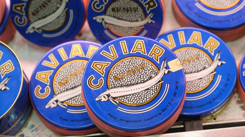 blue tins of malossol caviar