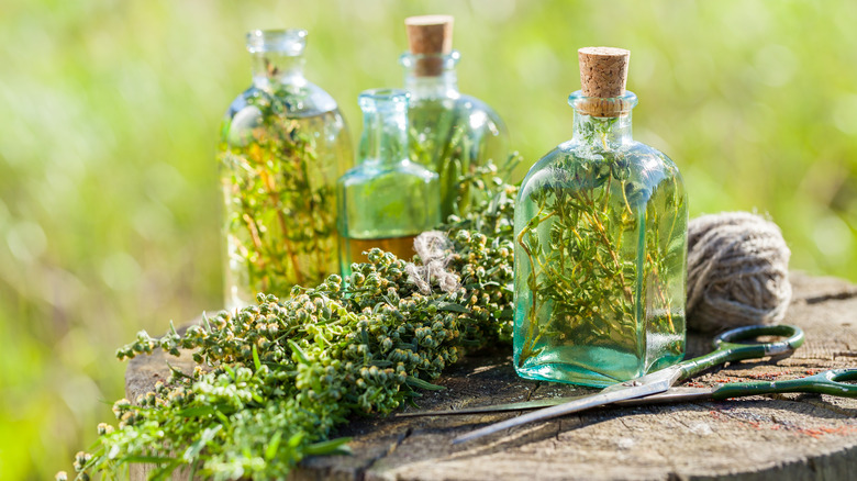 Bottles of vinegar with herbs