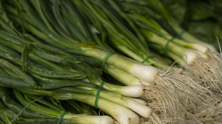 shallots