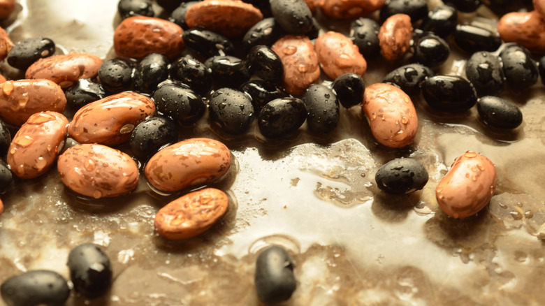 A mix of beans spread out in a shallow pool of water