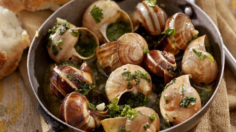 Escargot