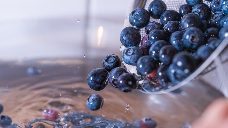 washing blueberries