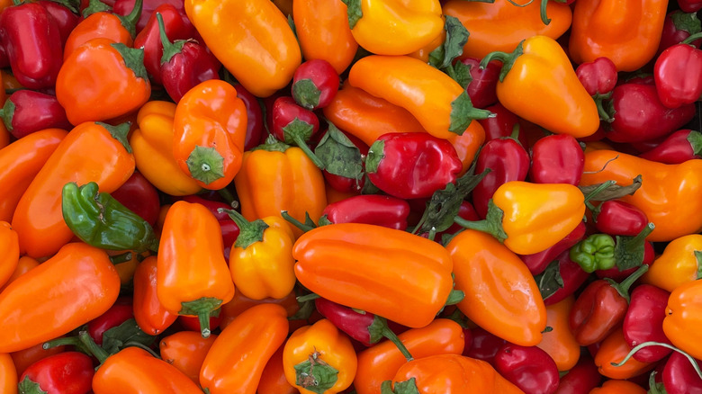 A large pile of lunchbox peppers
