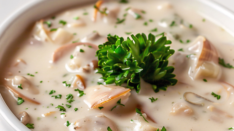 Close-up of a bowl of clam chowder with fresh parsley on top