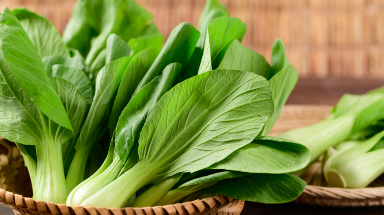 baby bok choy