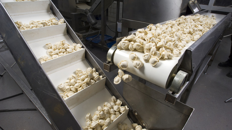 Stuffed pasta sorted on an automated factory production line
