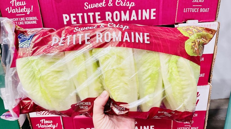 Hand holding bag of Petite Romaine Lettuce