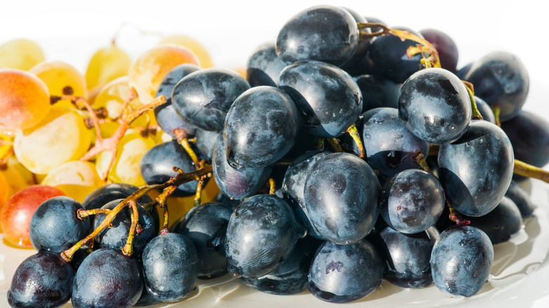 ripe Concord grapes