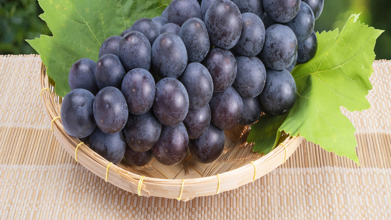 Kyoho grape bunch