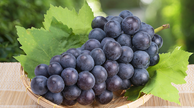 Kyoho grape bunch