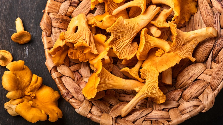 Chanterelle mushrooms in basket