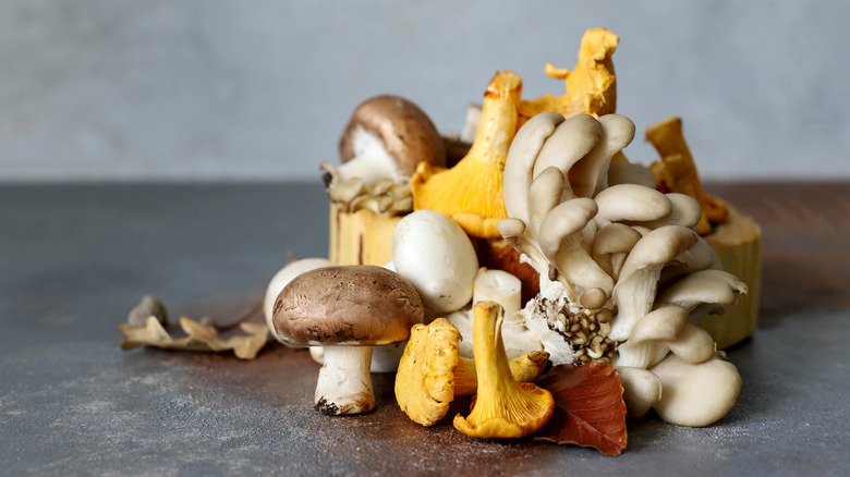 Pile of various mushrooms