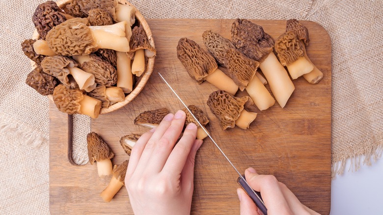 Hand chopping morel mushrooms