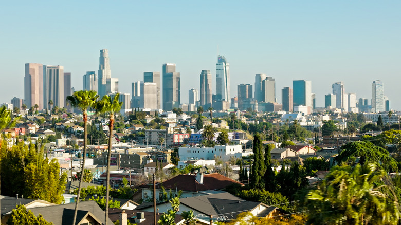 los angeles skyline in the background with palm trees and housing in front