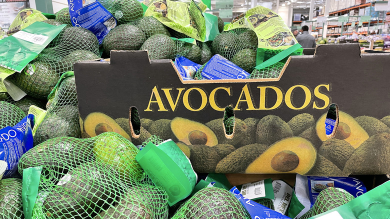 Bags of avocados on display in Costco