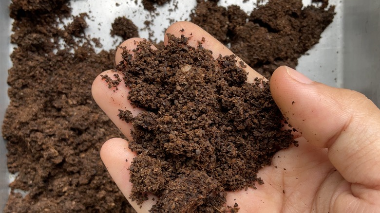 handful of spent coffee grounds