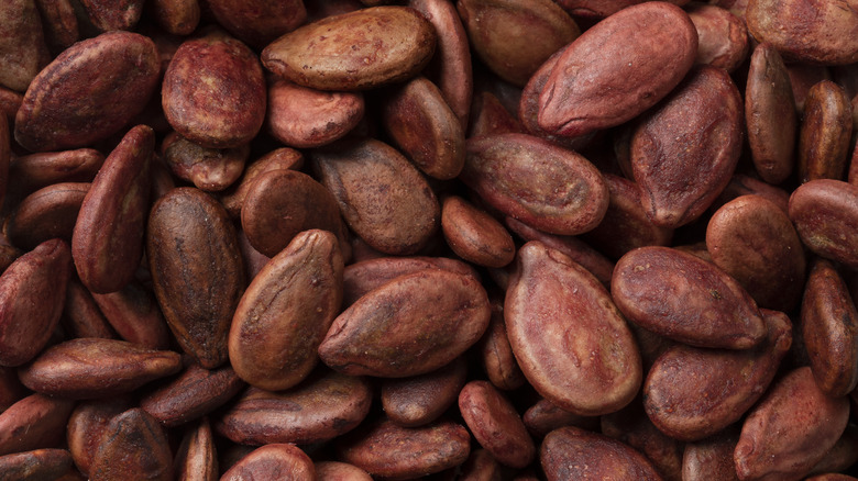 toasted watermelon seeds