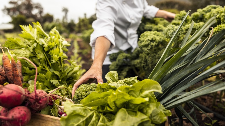 farm to table