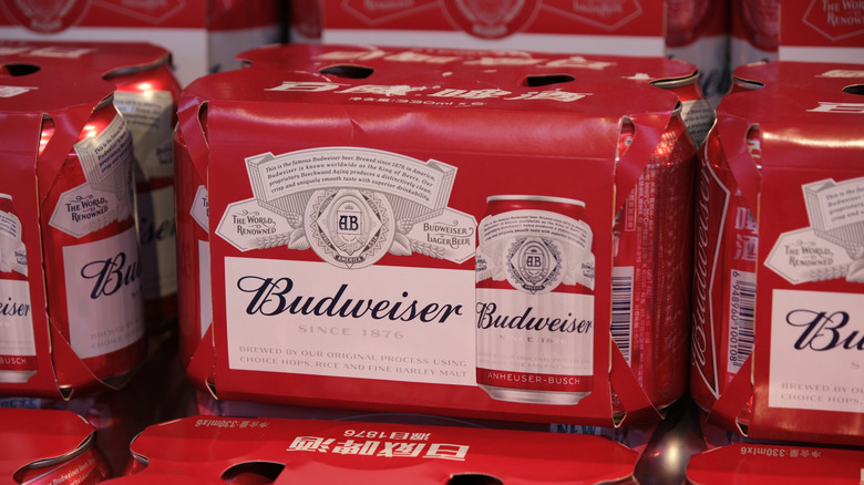 Six packs of Budweiser beer