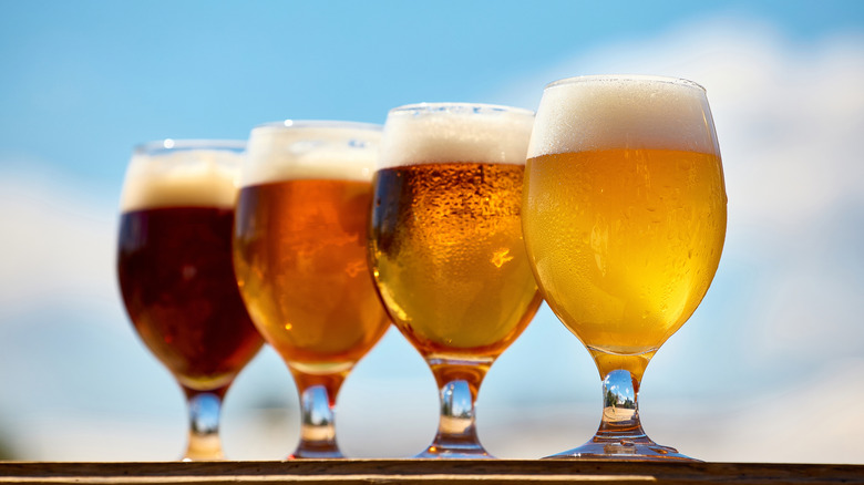 Glasses of beer in slightly different shades lined-up with a sunny background