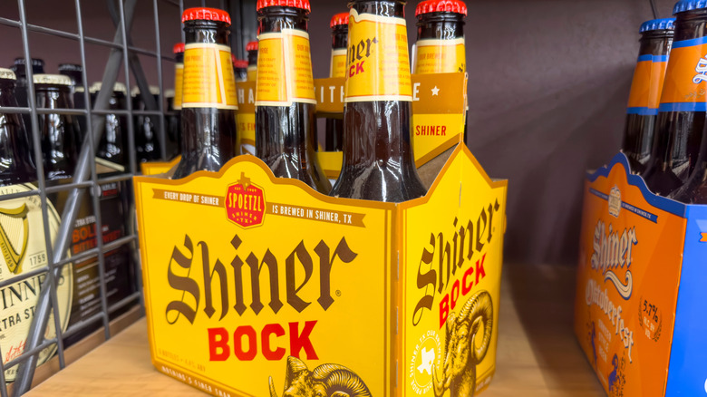 Six pack of bottled Shiner Bock on display in a store