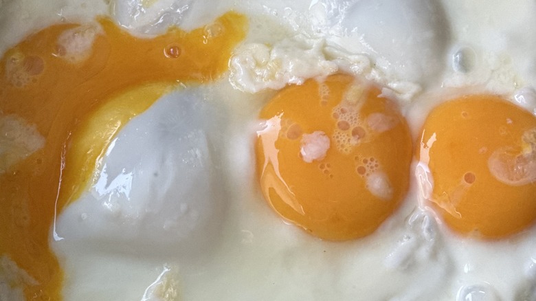 broken fried egg